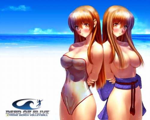 Minitokyo.Anime.Wallpapers.Dead.or.Alive[65067].jpg